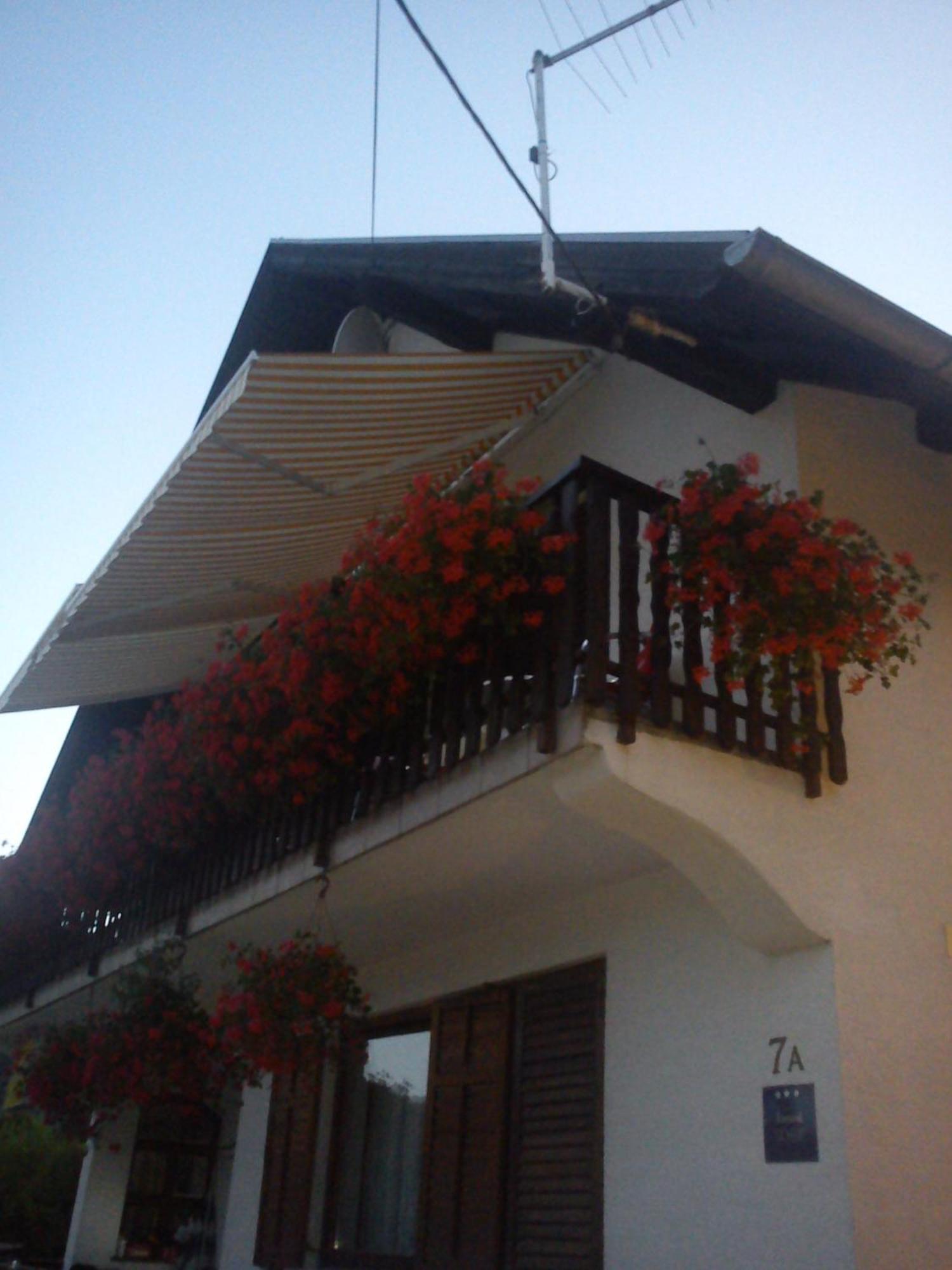 فندق House Anamarija سيليست دريزنيكو المظهر الخارجي الصورة